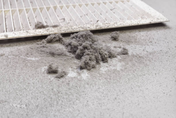Best Air Duct Cleaning Near Me  in Wyomissing, PA
