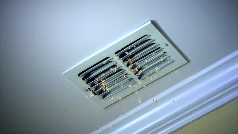 Best Emergency Air Duct Cleaning  in Wyomissing, PA