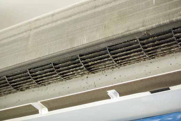 Best Home Air Vent Cleaning  in Wyomissing, PA