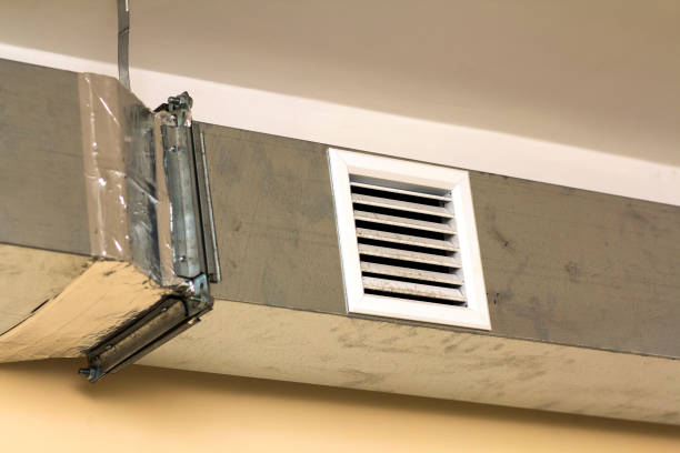 Air Duct Mold Removal in Wyomissing, PA